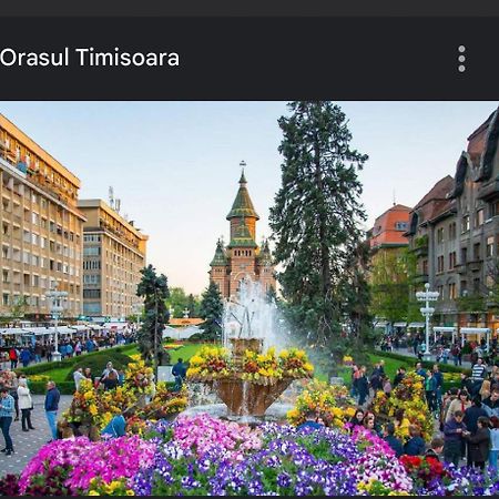 Apartament Lux Crialy - 75 M2 - Free Parking Timisoara Bagian luar foto